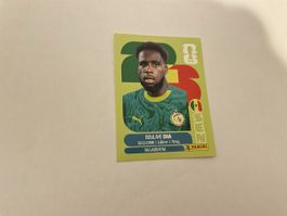 FIFA WM 2026 Boulave Dia SEN 17
