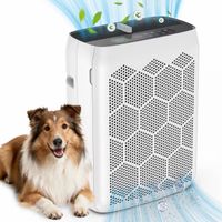 Purificateur d'air domestique  avec filtre 