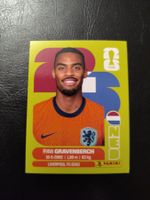 Panini FIFA World Cup 2026 NED 11