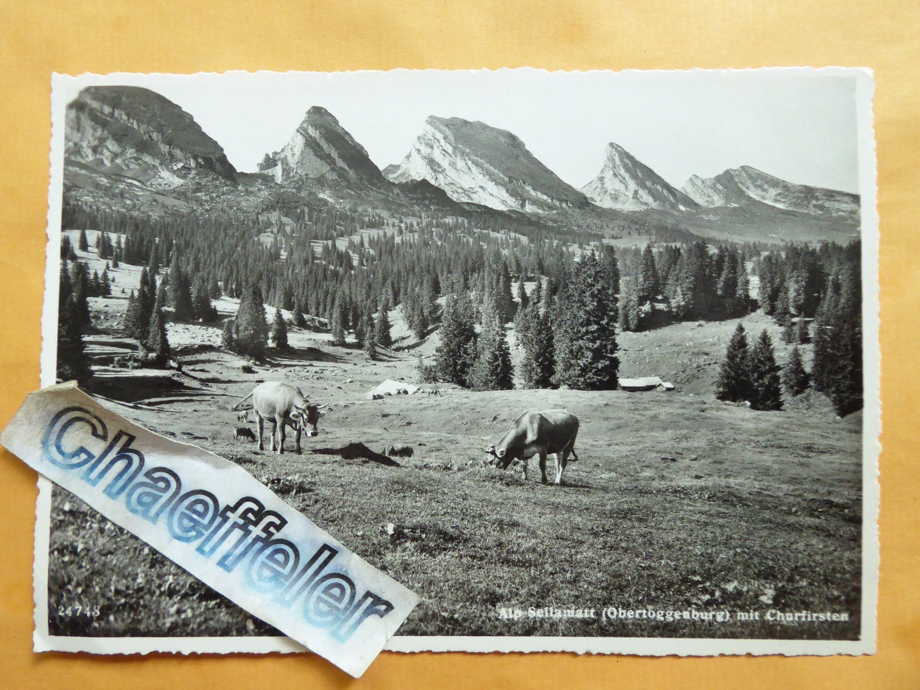 Cartoline postali: 1951 Alp Sellamatt mit Churfirsten – Usato da Zürich venduto da Chaeffeler