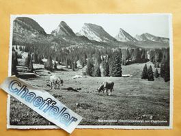 1951 Alp Sellamatt mit Churfirsten