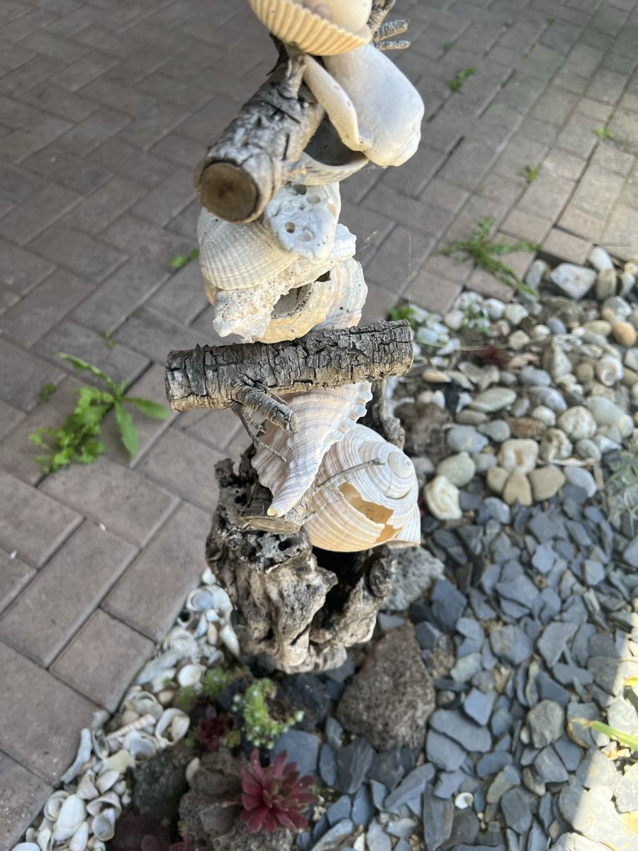Tutte le decorazioni: Deko aus Holz & Muscheln – Usato da Unterkulm venduto da gue_hn6p 1