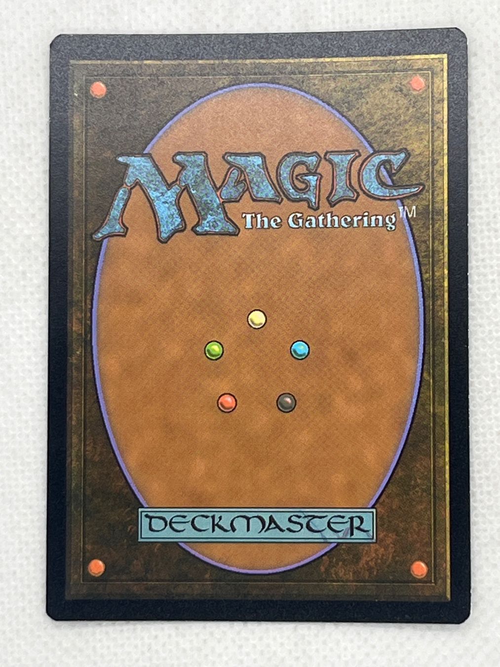 Magic The Gathering Carte collezionabili: MTG Soaring Drake DMU 066 Englisch Common Foil – Usato da Hinterkappelen venduto da Kim1992 1