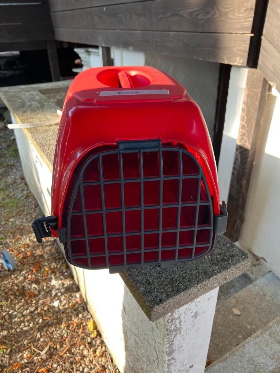 Gabbie, trasporto & Sicurezza: Katzenstreu und Katzenträger – Usato da Aristau venduto da pep_bt2v 3
