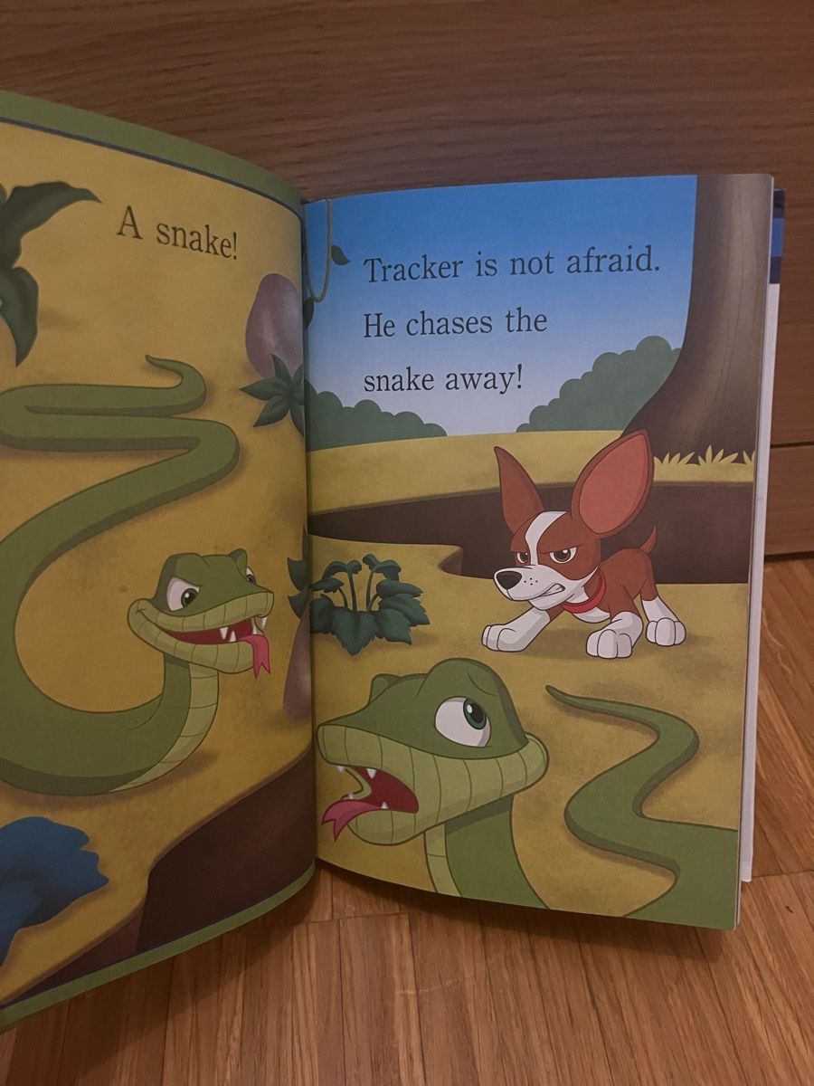 Libri: Paw Patrol Books – Usato da Uster venduto da dod_h6nw 1