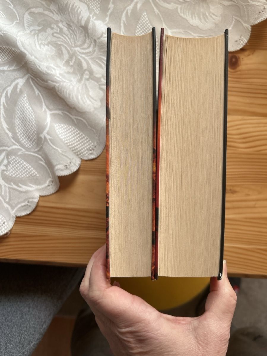 Libri: Stephen King: Shining & Feuerkind – Usato da Brunnen venduto da Liluzick 1