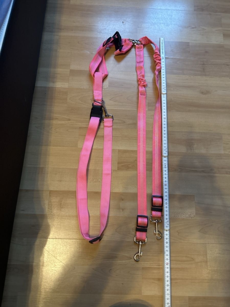 Guinzagli & Collari: Doppel Hunde Jogging Leine, Rosa – Usato da Mühledorf SO venduto da Dania77 4