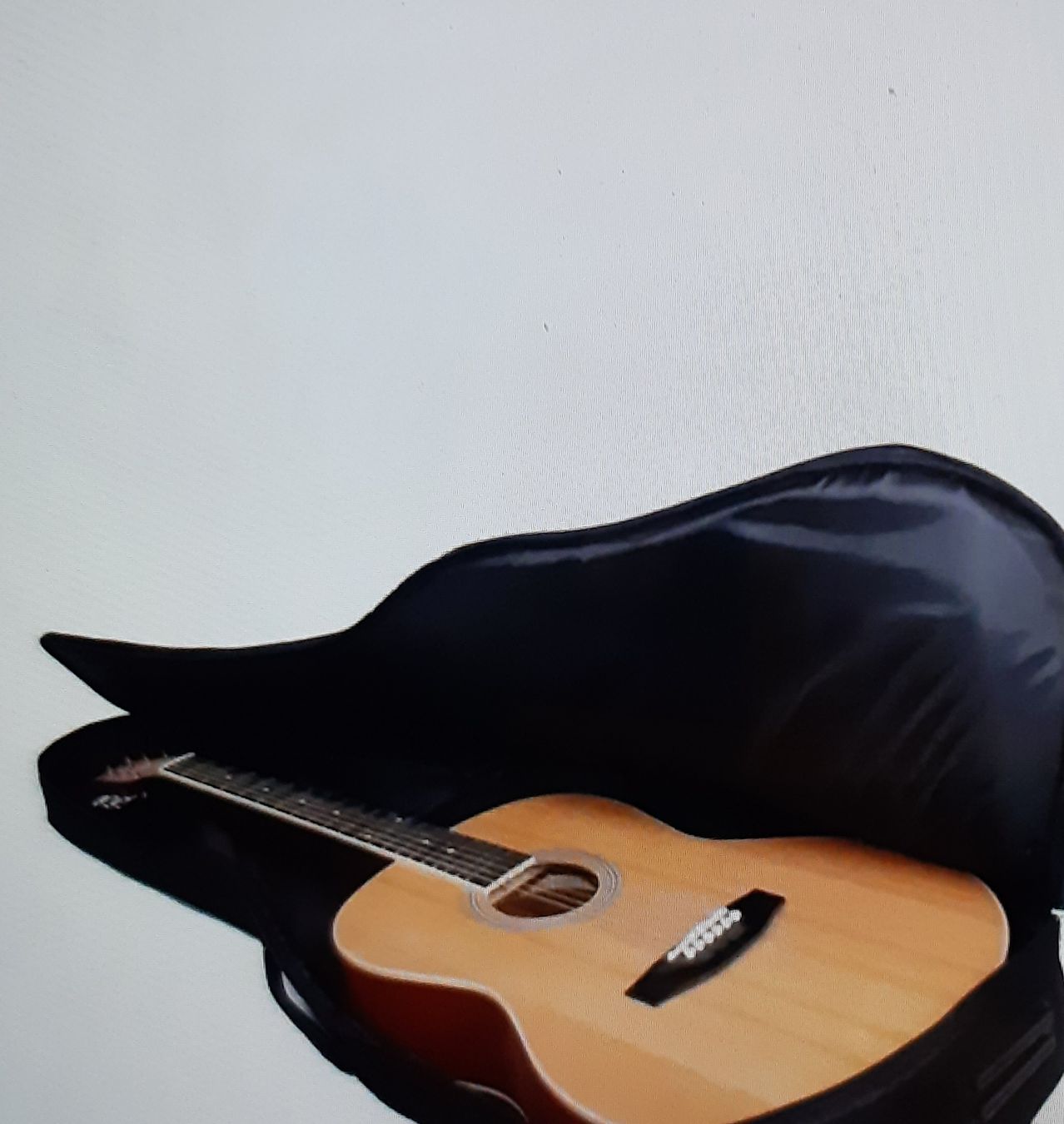Borse: Gitarrentasche – Nuovo e nell'imballaggio originale da Hochdorf venduto da Amazone0 3