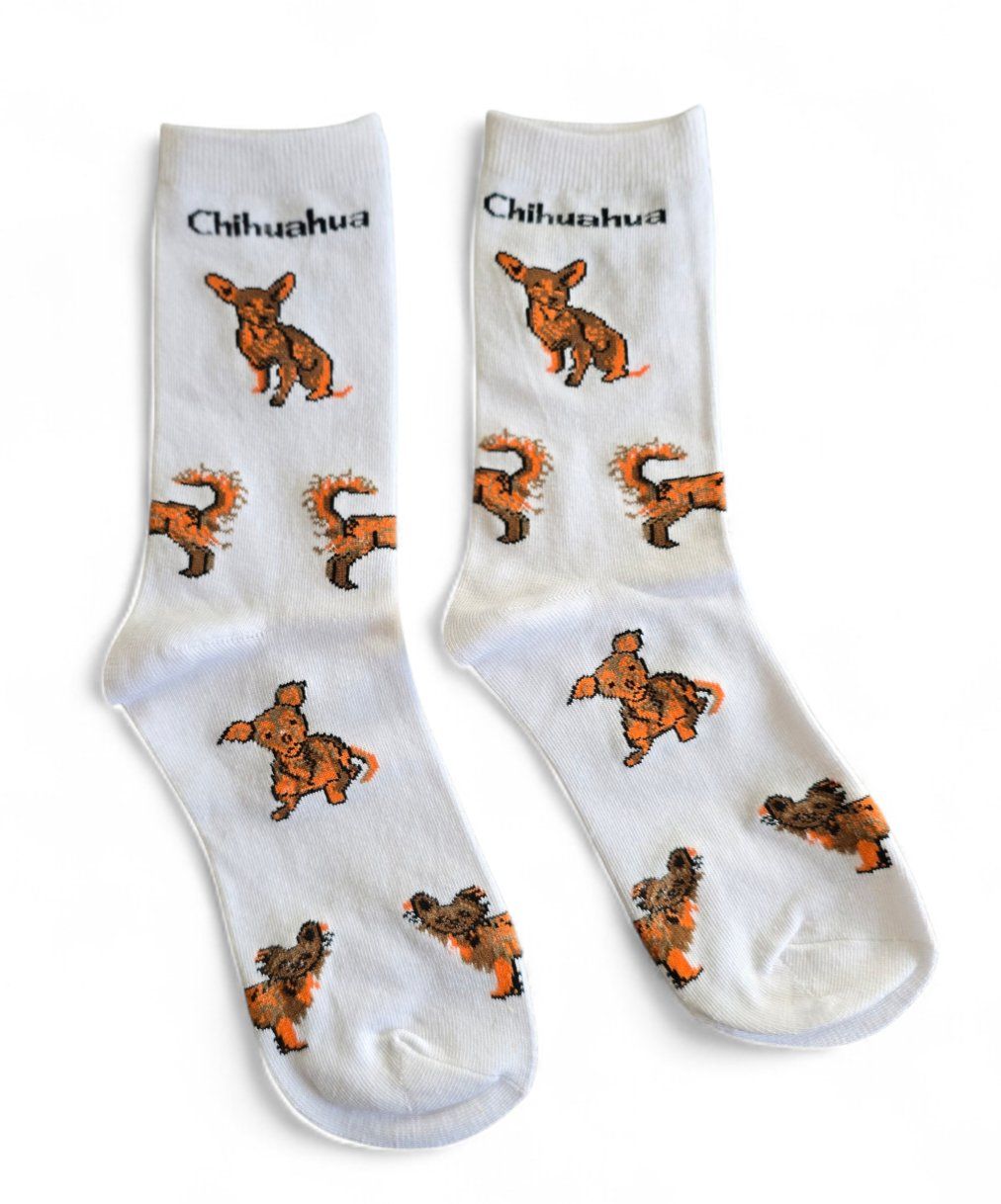 Calze: Socken Hunde/Dogs/Chihuahua – Nuovo e nell'imballaggio originale da Zürich venduto da amysmith