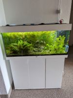 Aquarium Juwel mit Unterschrank weiss