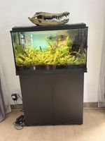 Aquarium Jewel 125 litres 