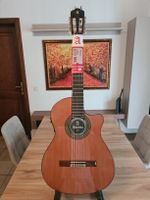 Chitarra Alhambra in ottime condizioni - Affare!