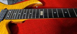 E-Gitarre David Custom shop 7 Saiter** / Serie Nr.006