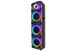 ZICPLAY Karaoke Bluetooth-Lautsprecher BTS-0830 (26061541)