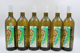 6x Cina Gilles & Joel Sauvignon Blanc 2025 (26081762Z)
