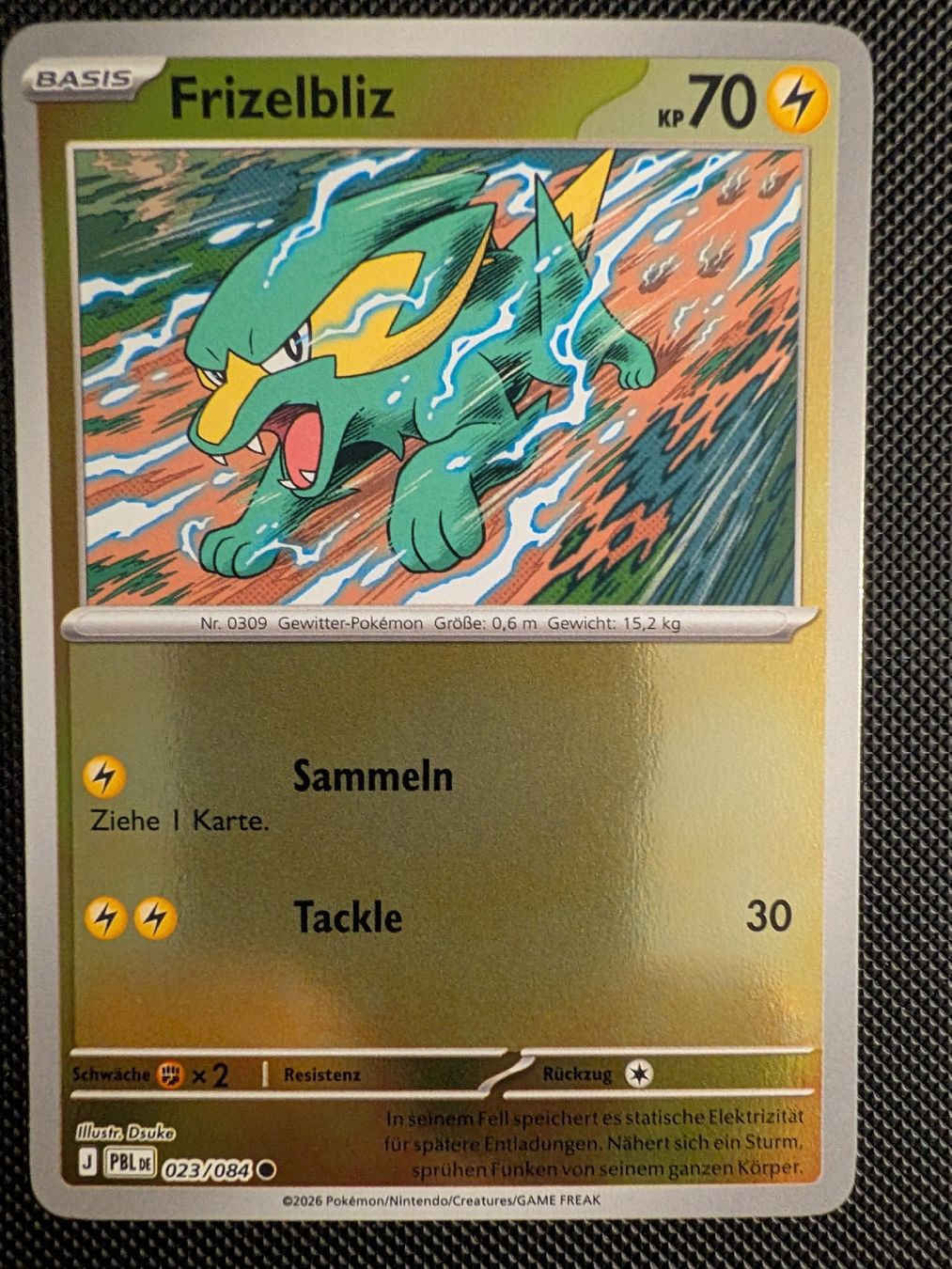 Pokémon Cartes à collectionner: Frizelbliz  – Neuf (Voir description) à Märstetten par eri_9lt8