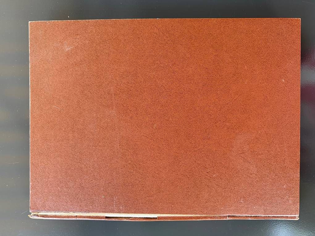 Libri: Live ancien Léonard de Vinci – Usato da Goumoens-la-Ville venduto da SandieF 1
