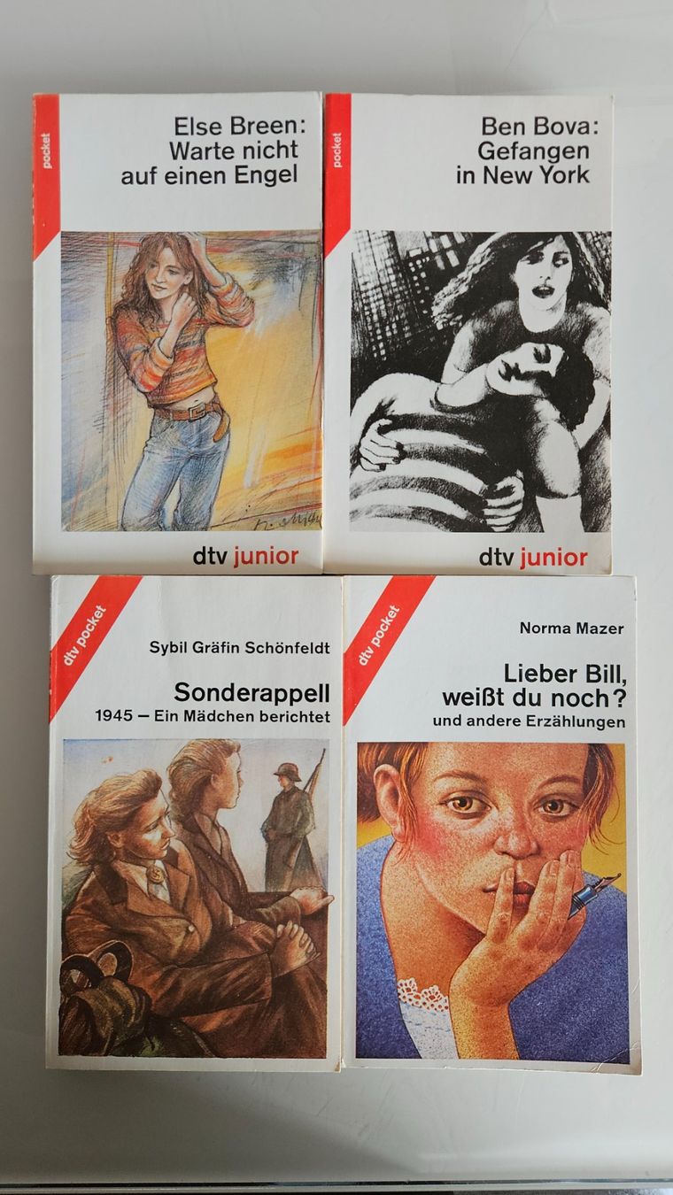 Libri: 4 Jugendbücher dtv Pocket – Usato da Basel venduto da True_Hofer_Store