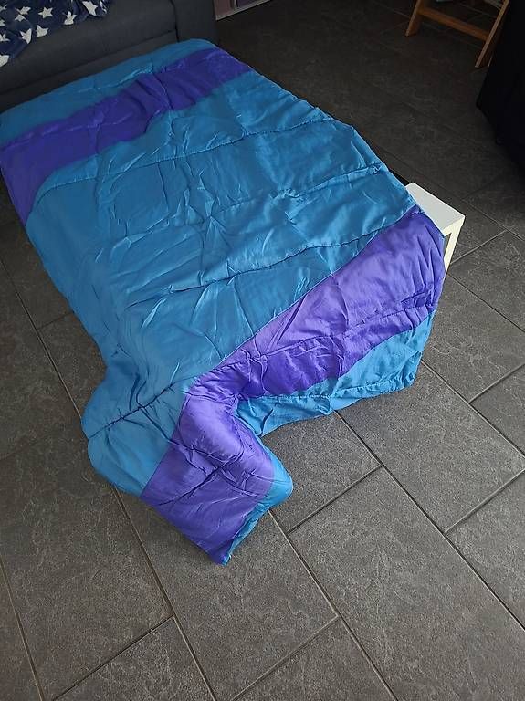 Sacchi a pelo: Schlafsack pro stk 10.00fr – Usato da Schenkon venduto da supperhexe88 1