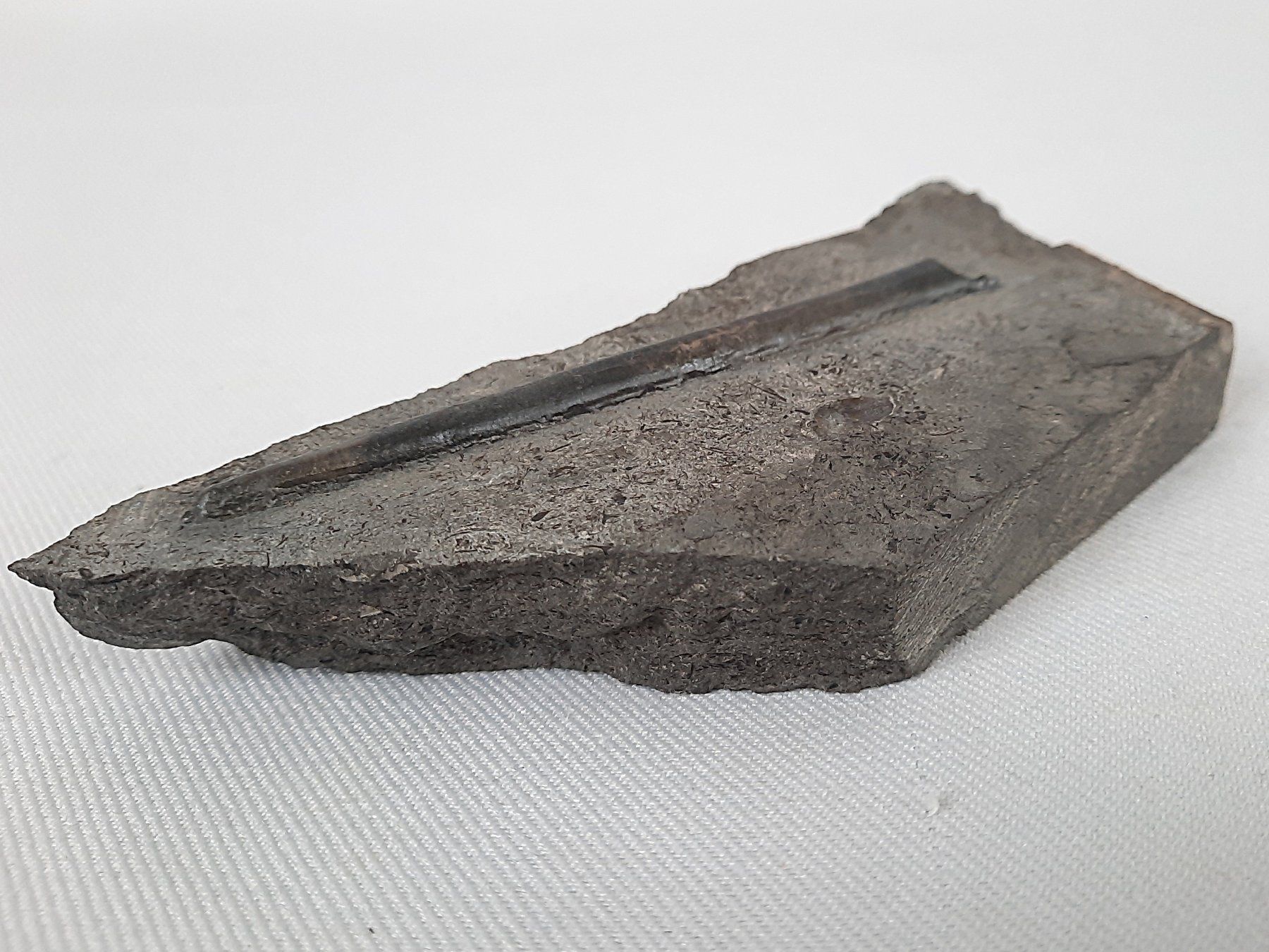 Fossili: Fossiler Haifischzahn und Donnerkeil – Usato da Beinwil am See venduto da Restwert_Beinwil 4