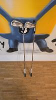 Golfschläger Srixon ZX4 5 und 6 Eisen Rechtshand