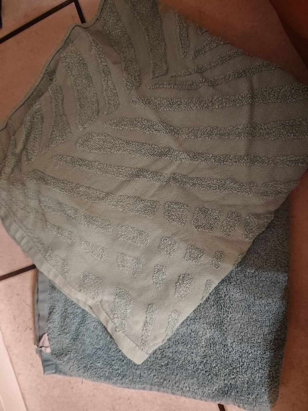 Serviettes de bain: 2 grosse Handtücher. – D'occasion à Sulgen par 34j_p6s2