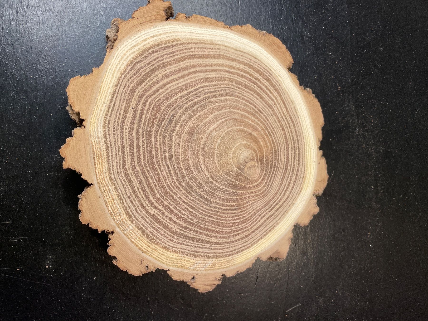 Articoli in legno: Holzscheibe Robinie – Usato da Brunnen venduto da Holz-style 1