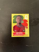 Panini