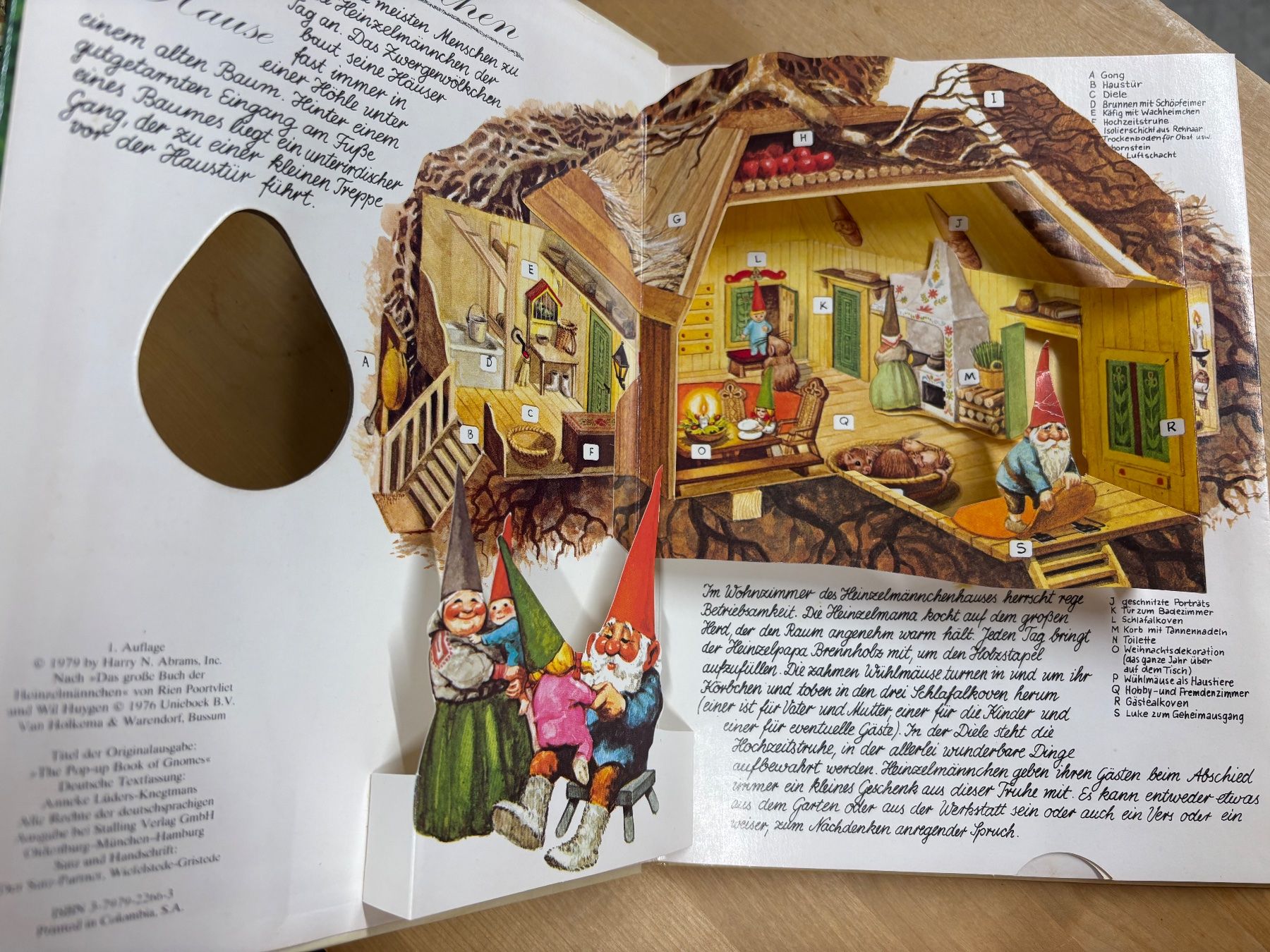 Libri: Rien Poortvliet Bilderbuch Heinzelmännchen – Usato da Seftigen venduto da Muggelwomb 1