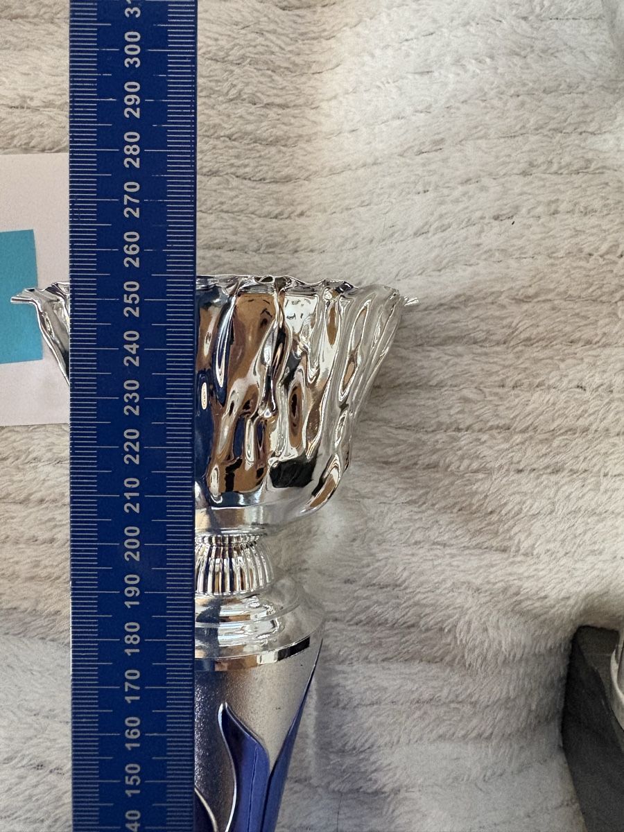 Sonstiges zum Sammeln & Seltenes: Pokal / Trophäe Lot – Gebraucht aus Rümlang von SchumBru10 1