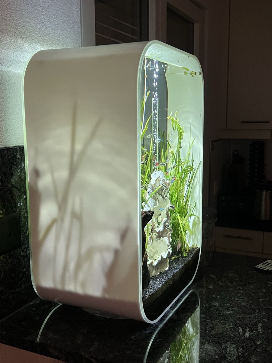Aquarium: Wunderschönes 60L BiOrb – Gebraucht aus Zürich von MCZDESIGN 1