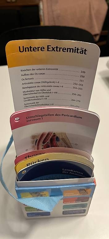 Altro materiale scolastico: Prometheus LernKarten Anatomie – Usato da Bern venduto da Babsbanni 2