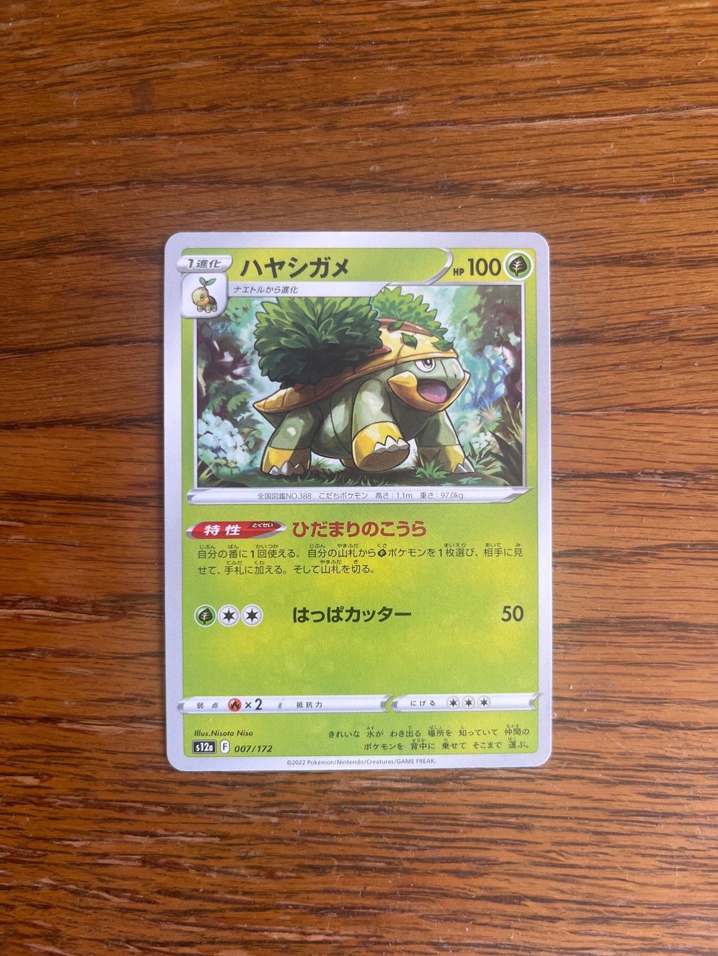 Pokémon Carte collezionabili: Carte Pokemon Grotle - s12a VSTAR Universe - JP – Usato da Vernayaz venduto da Darkfrost