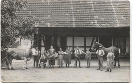 LANDWIRTSCHAFT/BAUERNHAUS 1910 mit Pferd+Kuh BE/SO?