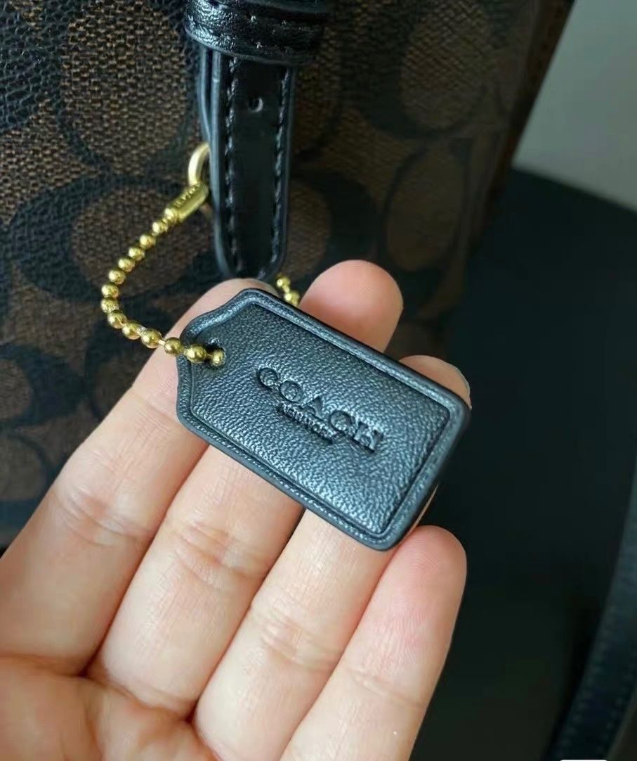 Borse: Coach Handtasche – Usato da Wattwil venduto da SchweizIT 5