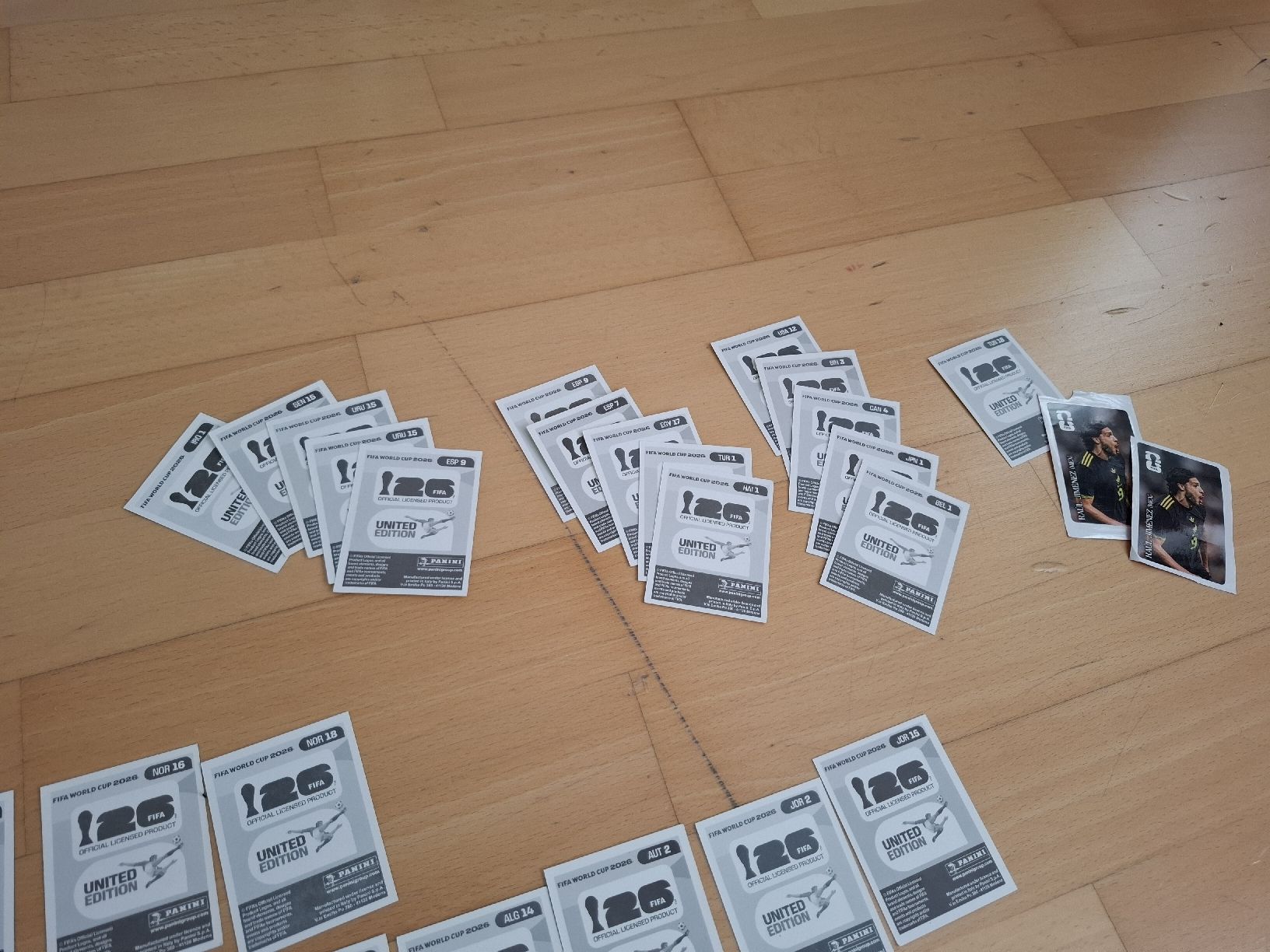 Panini Carte collezionabili: Panini FIFA World Cup 2026 Sticker – Nuovo (secondo la descrizione) da Baar venduto da Jhonny18 7