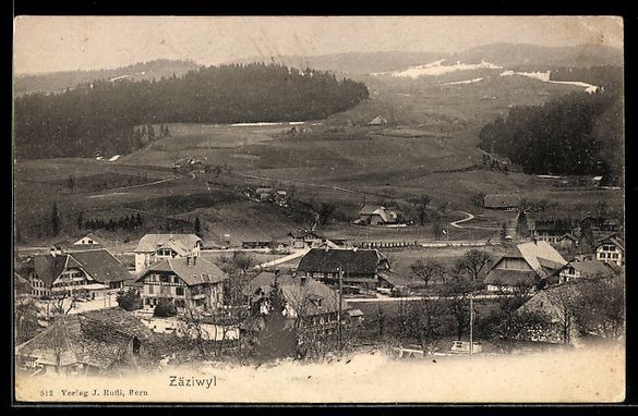 Cartoline postali: AK Zäziwyl, Teilansicht – Usato da Berlin venduto da bartko-reher