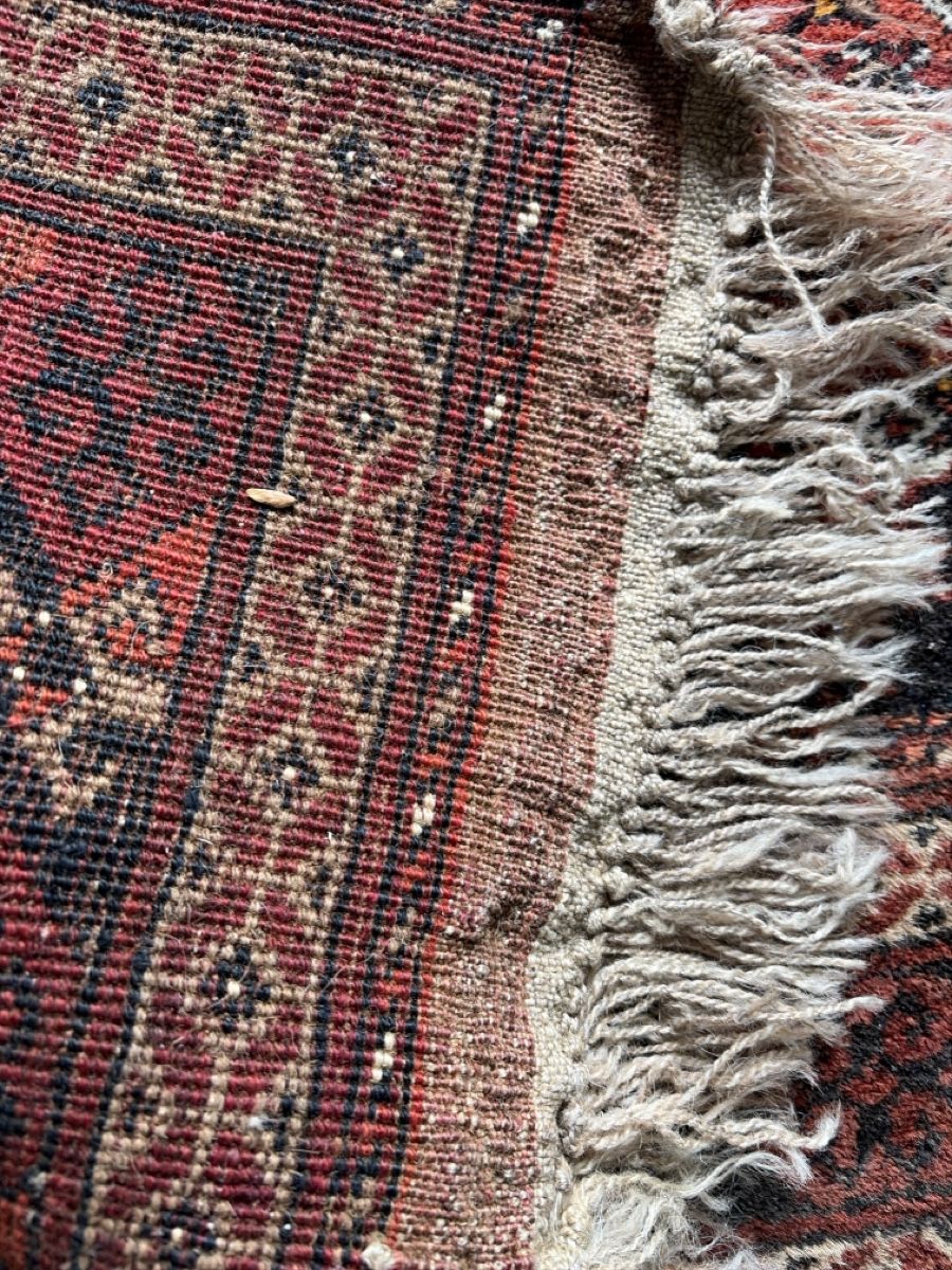 Tappeti: Afghanistan Teppich Nomade  – Usato da Wängi venduto da Tesimo 4