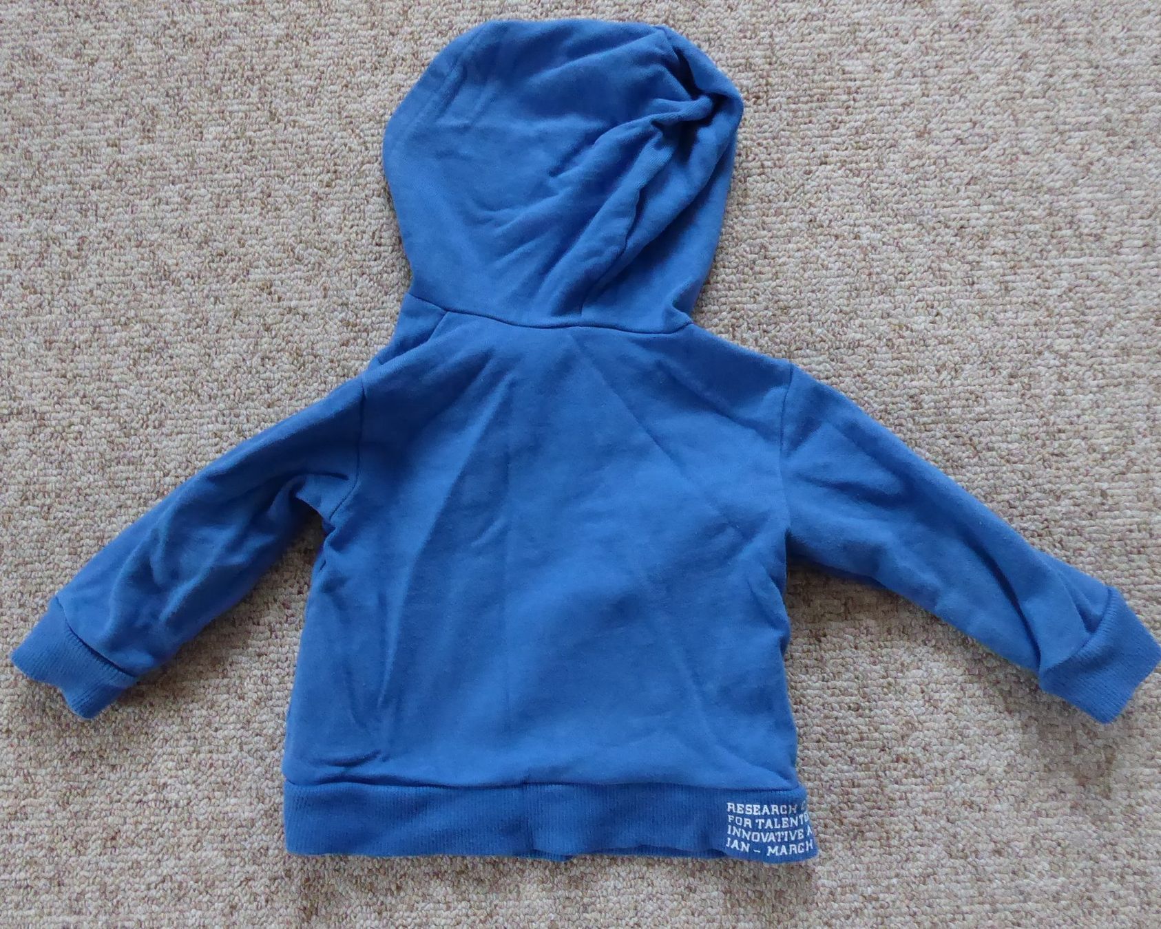 Naturaline Pullover & Sweatshirts: Kapuzenpulli Sweater  Grösse 74  naturaline – Gebraucht aus Wettingen von tonia3 1