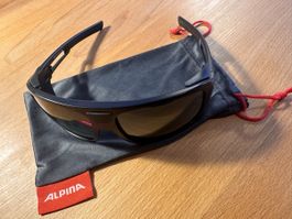 Gletscherbrille Alpina Sports