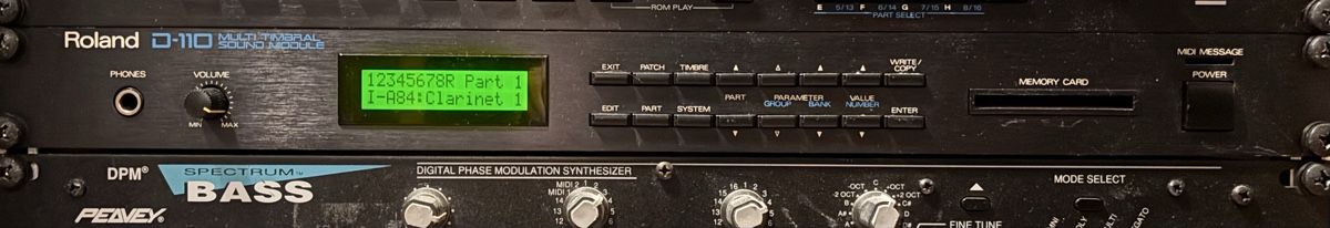 Roland Strumenti musicali: Roland D-110 Multi Timbral Sound Module – Usato da Zürich venduto da aronaron