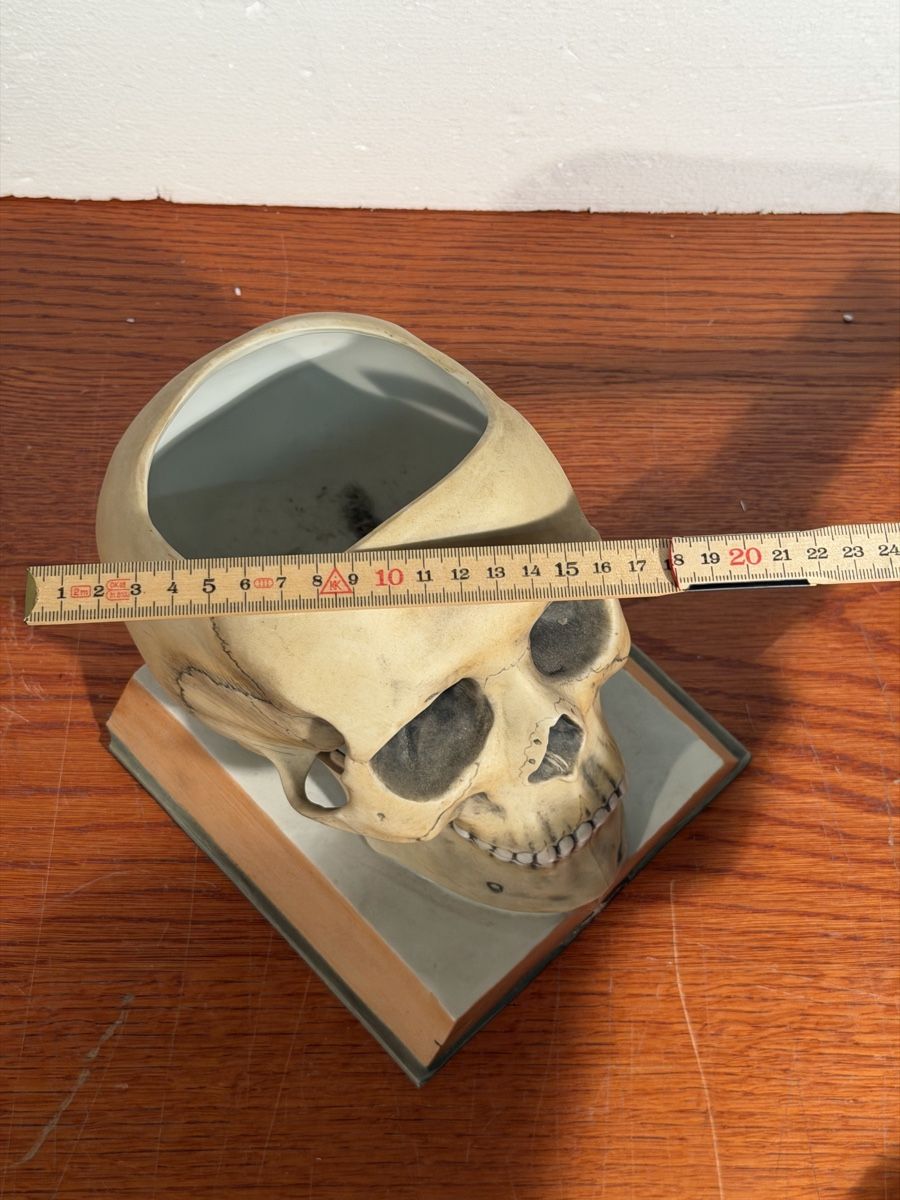Tutte le decorazioni: Skull Decor ceramic Bookends Realistic Human Skull Model – Usato da Lausanne venduto da vas_mbk2 6