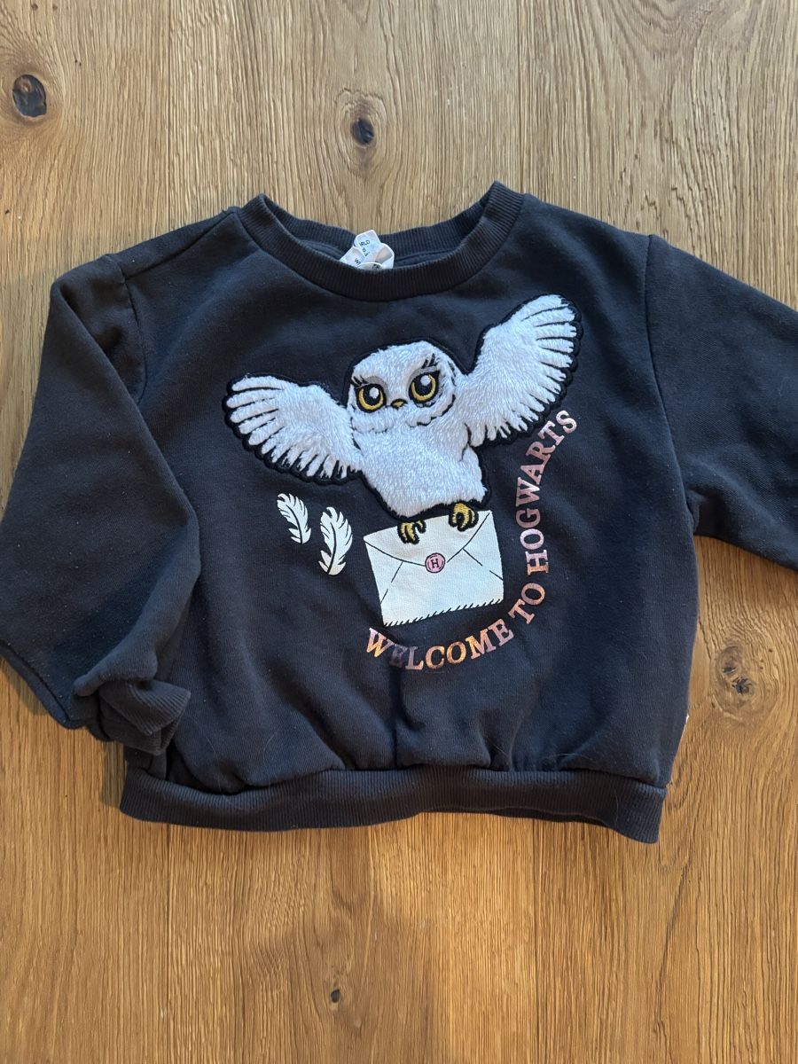 H&M Lotti & Set di vestiti: Harry Potter Hedwig Kinder Pullover 92 – Usato da Biel-Benken BL venduto da frauvomfluss 3