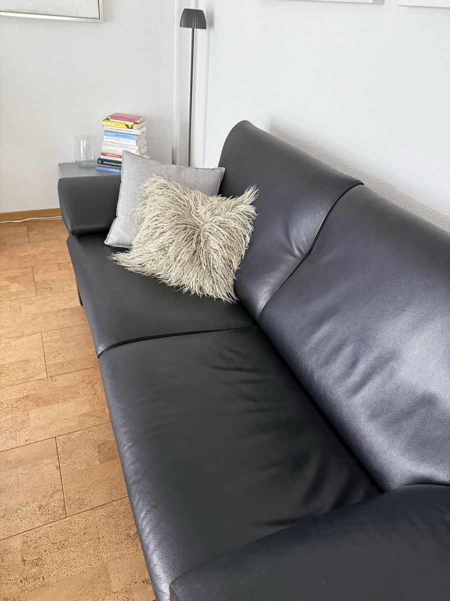 De Sede Divani: De Sede Ledersofa – Usato da Uster venduto da Vmarc