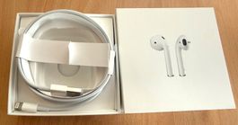 Câble iPhone-iPad-iPod Lightning Apple - NEU