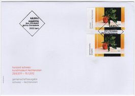 Horizont Schweiz Liechtenstein Marken auf illustriertem FDC