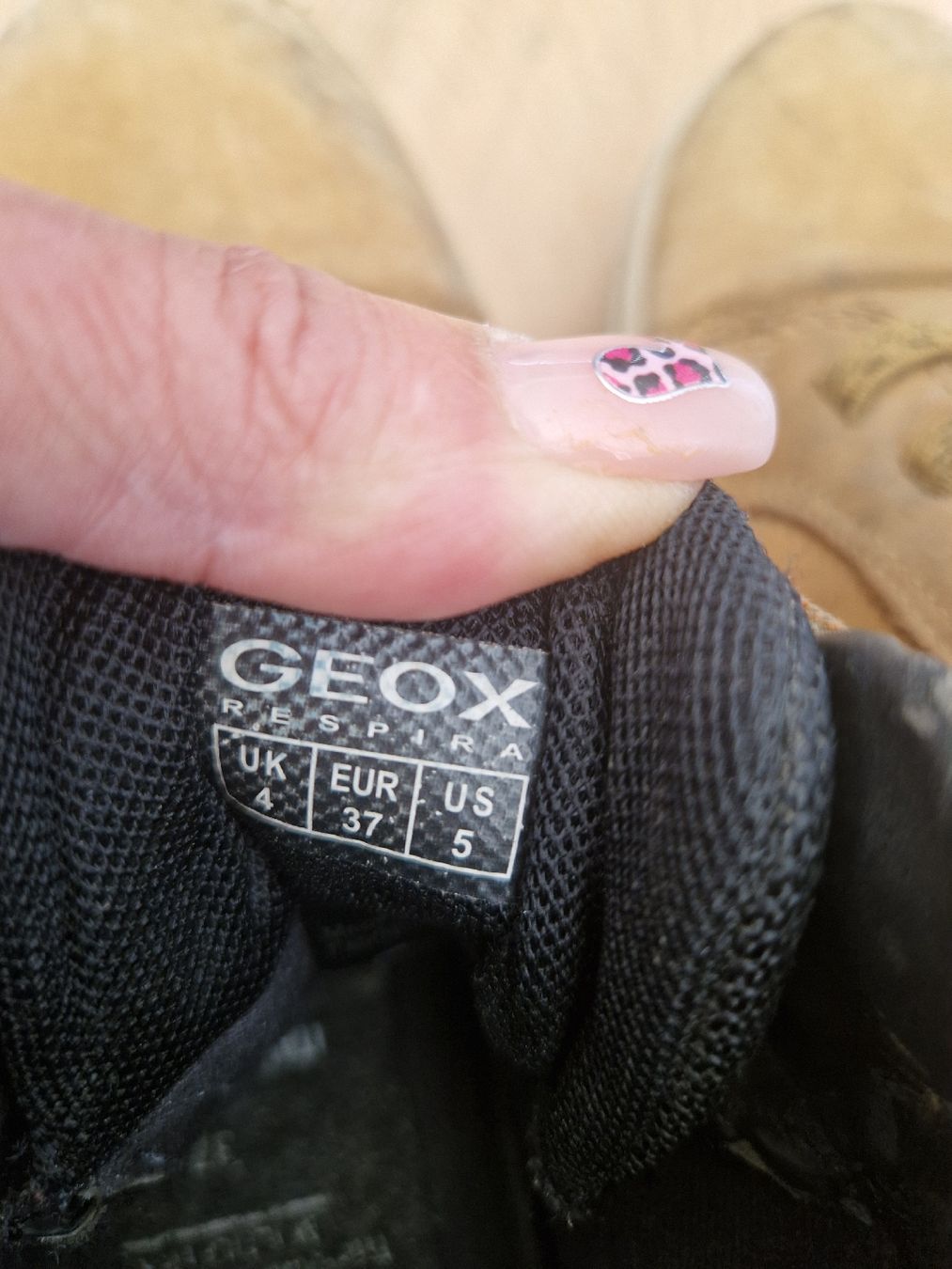 Geox Scarpe per ragazzi: Herbstschuhe Geox, Gr.37 – Usato da Eggersriet venduto da Sdosi 3