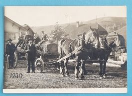 Huttwil - Holzfuhre Sägerei Schürch - Foto Bernhardt um 1930