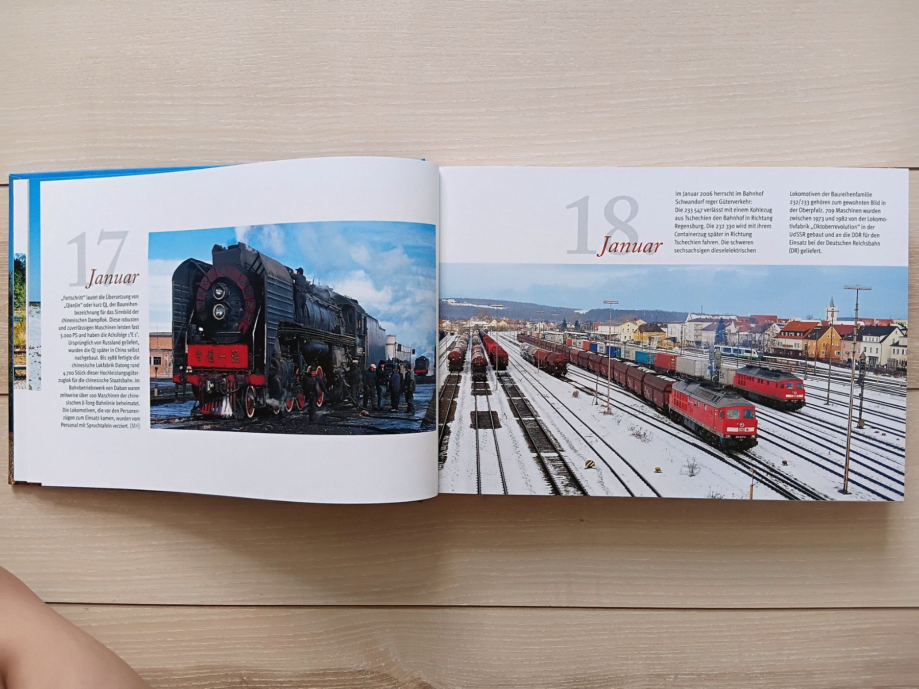 Libri: Faszination Eisenbahn 365 Tage – Usato da Birrwil venduto da dirtyoldtown 2