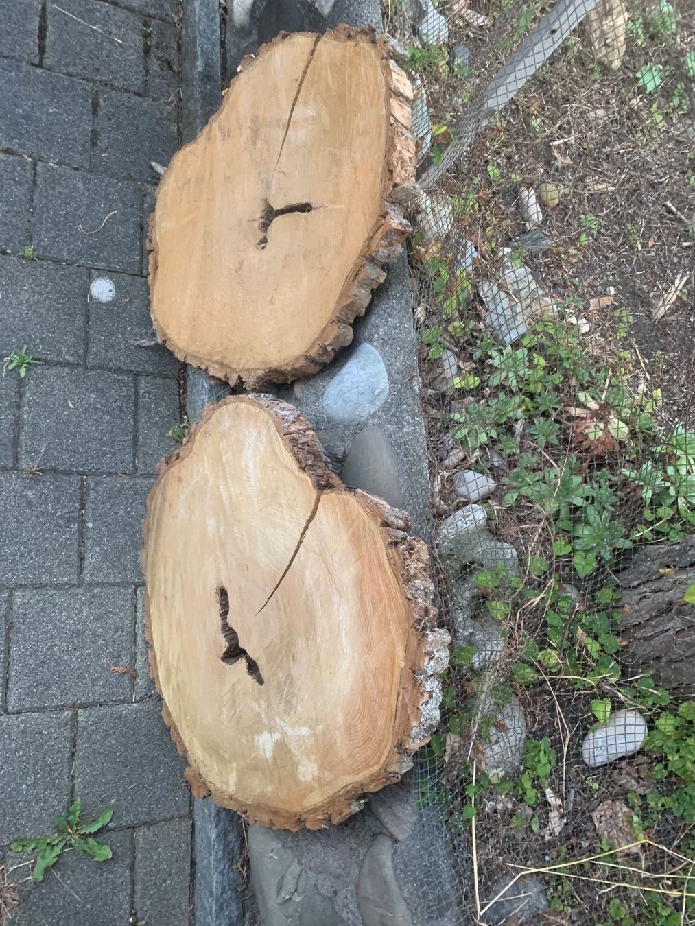 Articoli in legno: Rundbretter – Usato da möhlin venduto da platzsimo 2